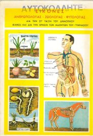 Διάφορα (153/192)